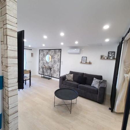 Logement 4 Voyageurs Ceret Bagian luar foto